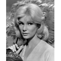 Yvette Mimieux