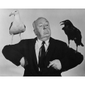 Birds Alfred Hitchcock Photo