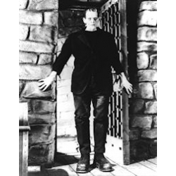 Frankenstein Boris Karloff Photo