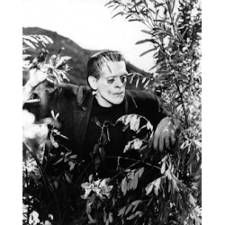 Frankenstein Boris Karloff Photo